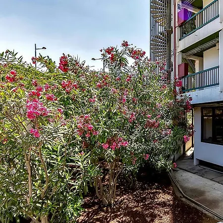 Vina Del Mar 1bedroom * Playa Feñabe